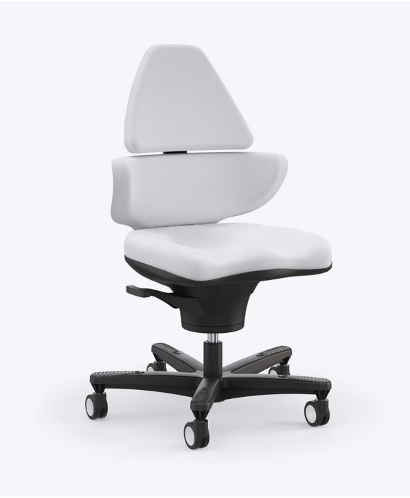 Fauteuil Ergonomique Corechair