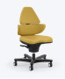 Fauteuil Ergonomique Corechair