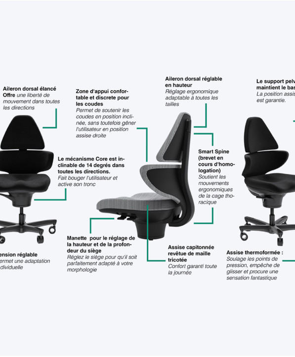Fauteuil Ergonomique Corechair