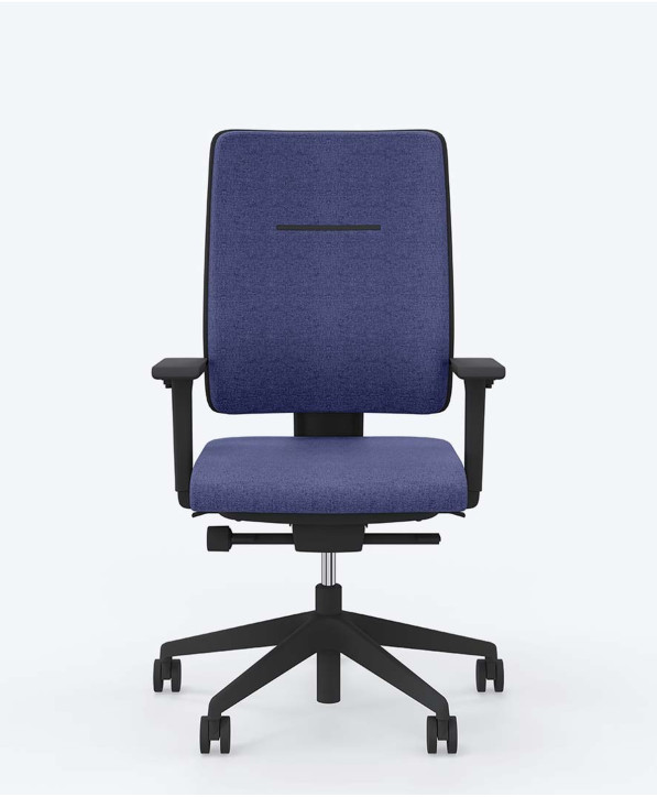 Fauteuil Ergonomique Toleo