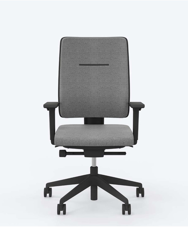 Fauteuil Ergonomique Toleo