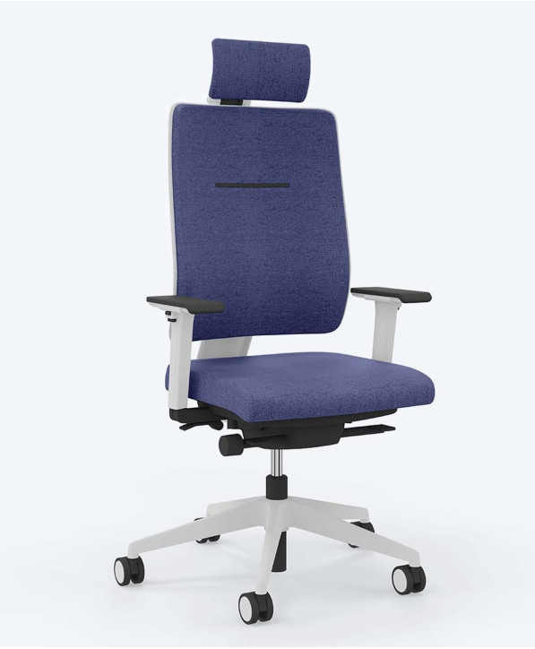 Fauteuil Ergonomique Toleo