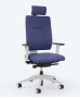 Fauteuil Ergonomique Toleo
