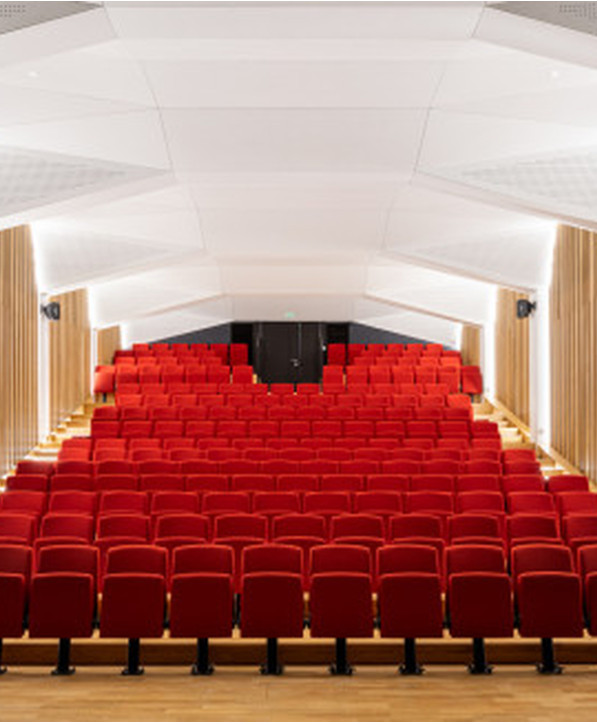 Siège Spécifique: Formation, Auditorium, Collectivité Fauteuil Strapunto