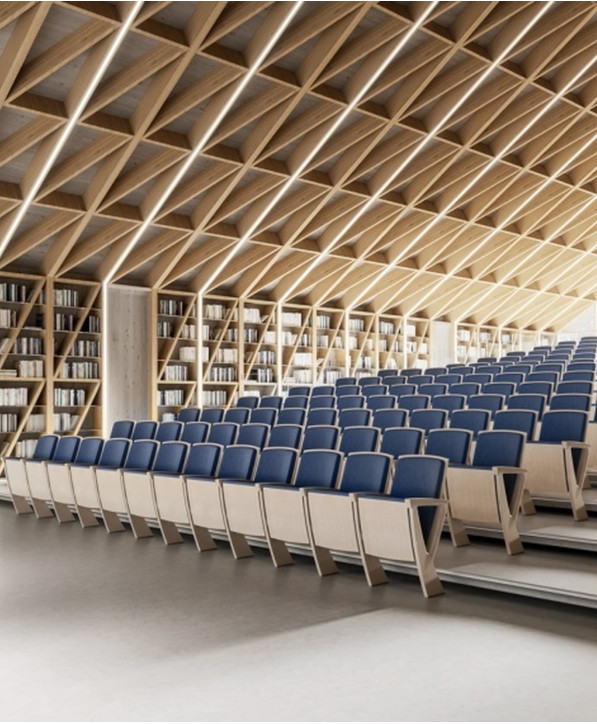 Siège Spécifique: Formation, Auditorium, Collectivité Dyapason