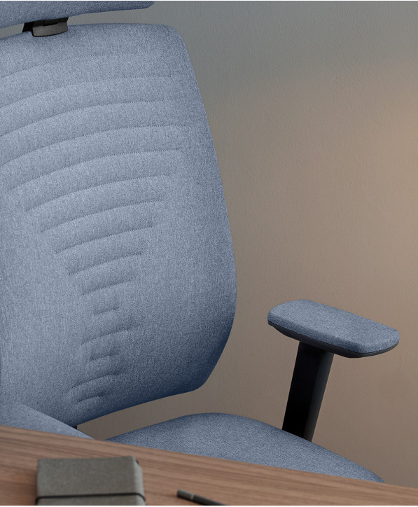 Fauteuil Ergonomique Dotway