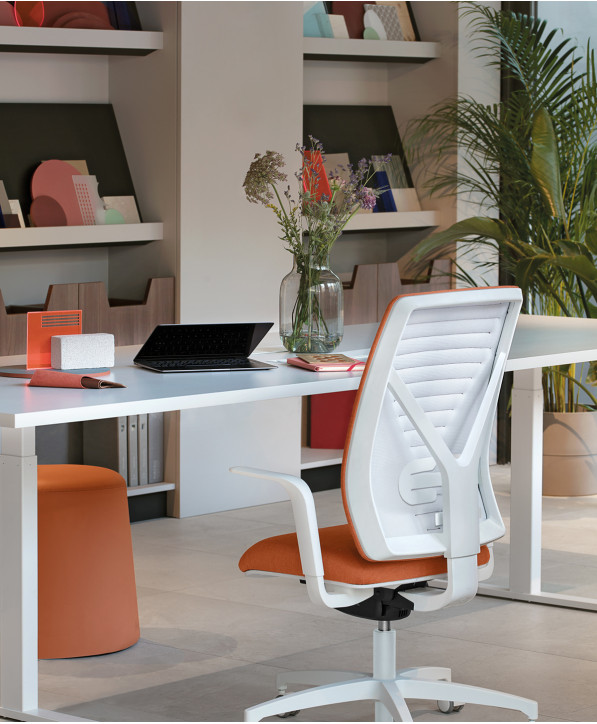 Fauteuil Ergonomique Dotway