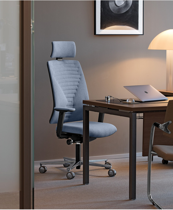 Fauteuil Ergonomique Dotway