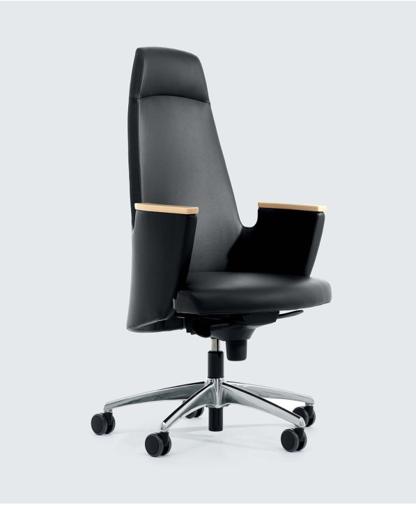 Fauteuil Direction Amadeus