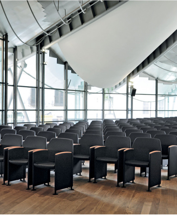 Siège Spécifique: Formation, Auditorium, Collectivité Papillon