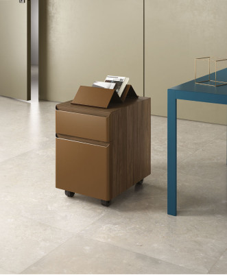 Caisson De Bureau Personal Storage