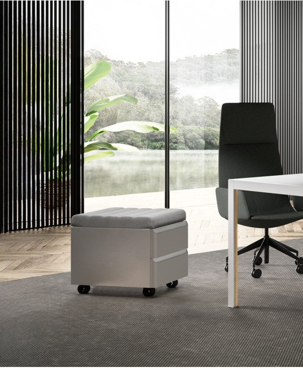 Caisson De Bureau Personal Storage