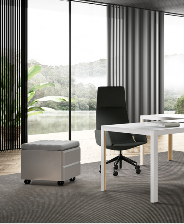 Caisson De Bureau Personal Storage
