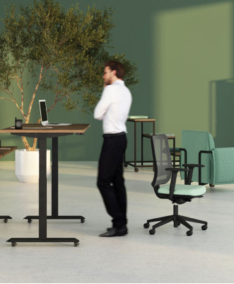 Bureaux Assis-debout Lutz 2