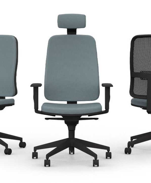Fauteuil Ergonomique Paul