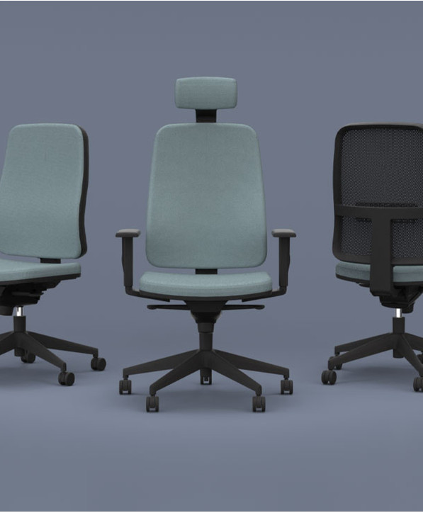 Fauteuil Ergonomique Paul
