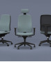 Fauteuil Ergonomique Paul