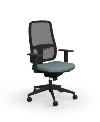 Fauteuil Ergonomique Paul