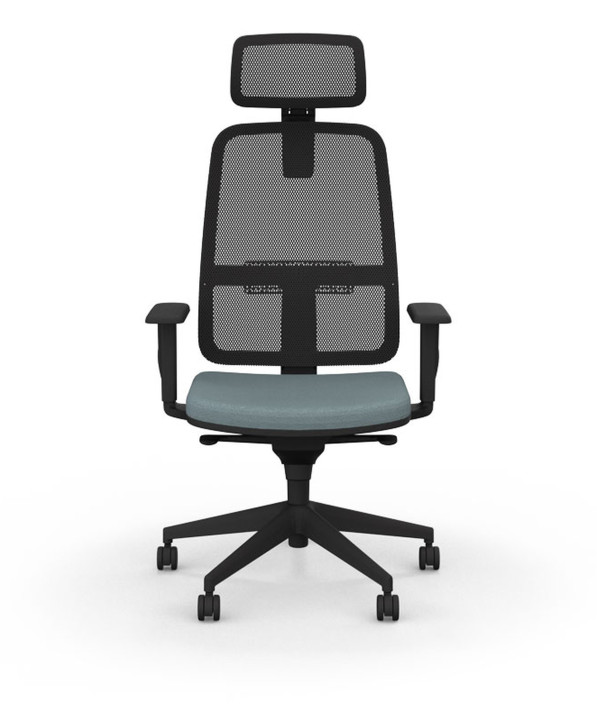 Fauteuil Ergonomique Paul