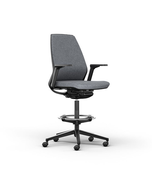 Fauteuil Ergonomique Eliott
