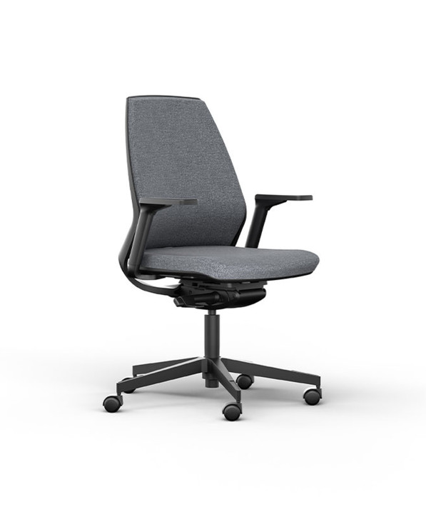 Fauteuil Ergonomique Eliott