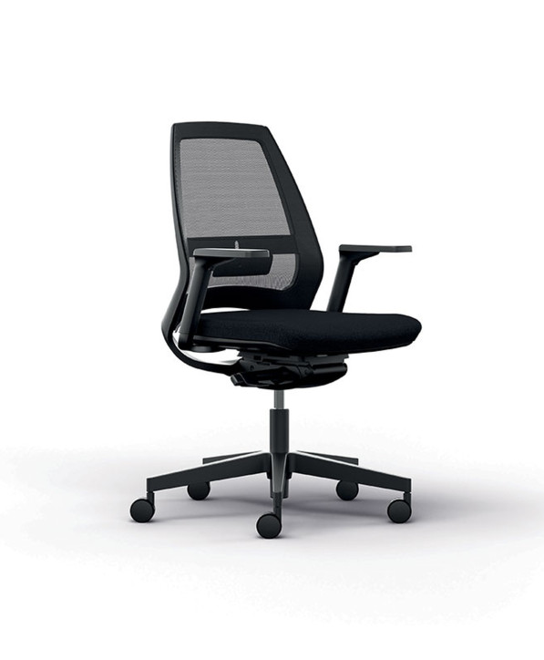 Fauteuil Ergonomique Eliott