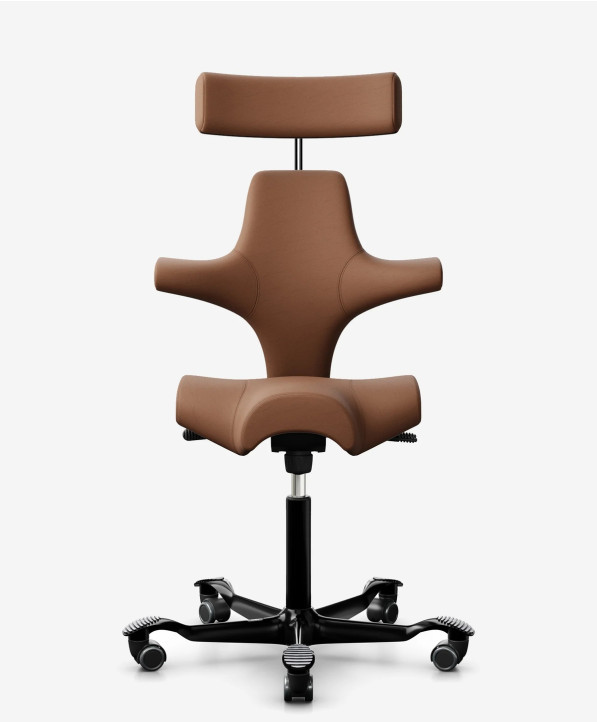 Fauteuil Ergonomique Ready-to-ship Collection