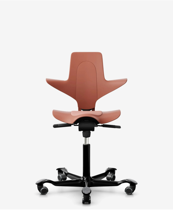 Fauteuil Ergonomique Ready-to-ship Collection