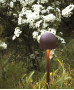 inaire Outdoor Boleto Lampadaire