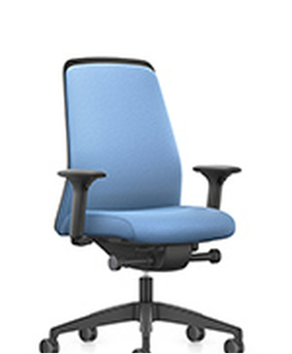 Fauteuil Ergonomique Everyis1