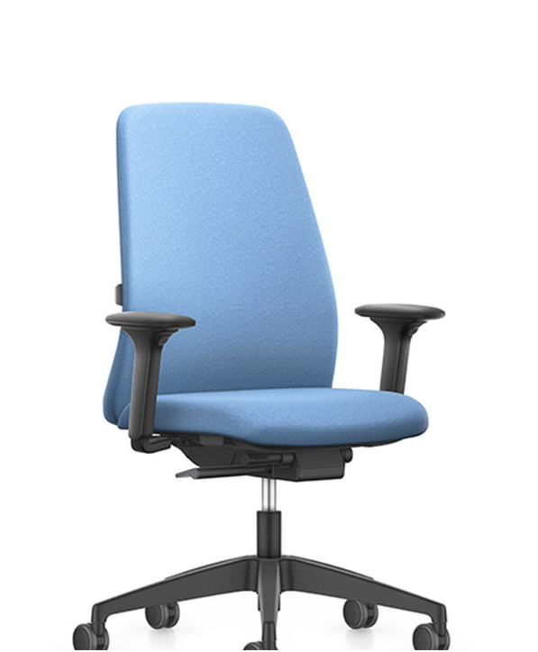Fauteuil Ergonomique Everyis1
