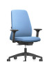 Fauteuil Ergonomique Everyis1