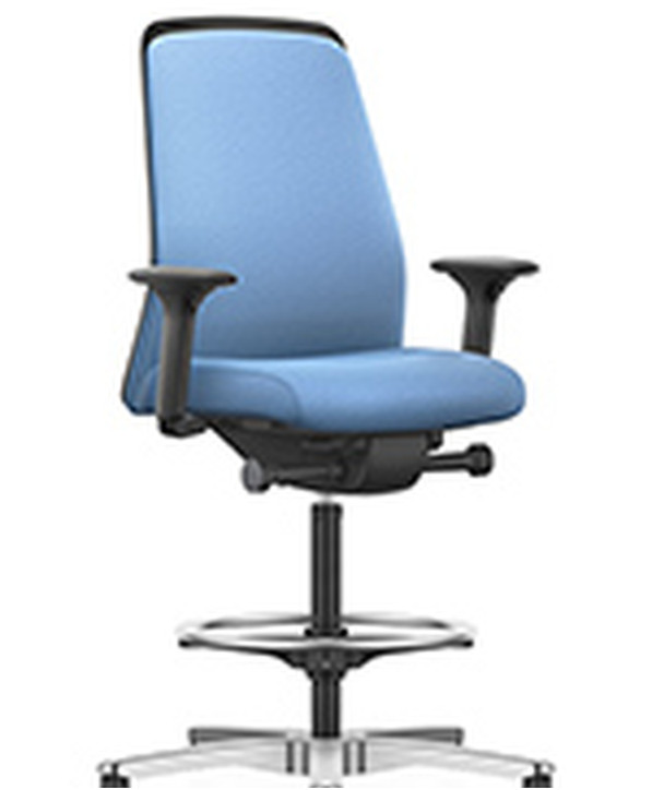 Fauteuil Ergonomique Everyis1