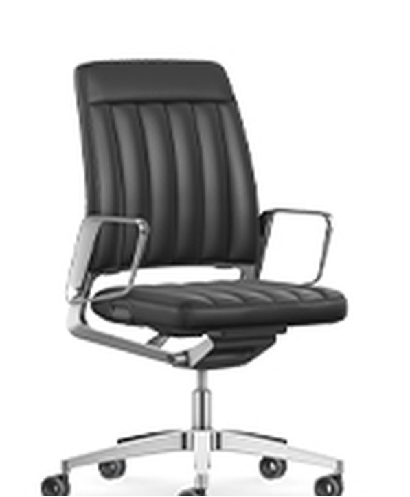 Fauteuil Ergonomique Vintageis5