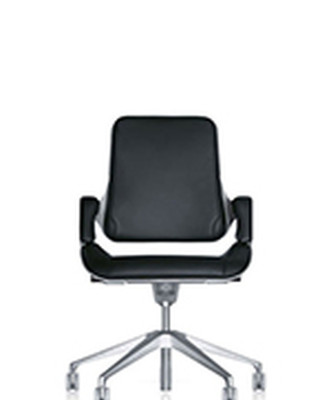 Fauteuil Ergonomique Silver
