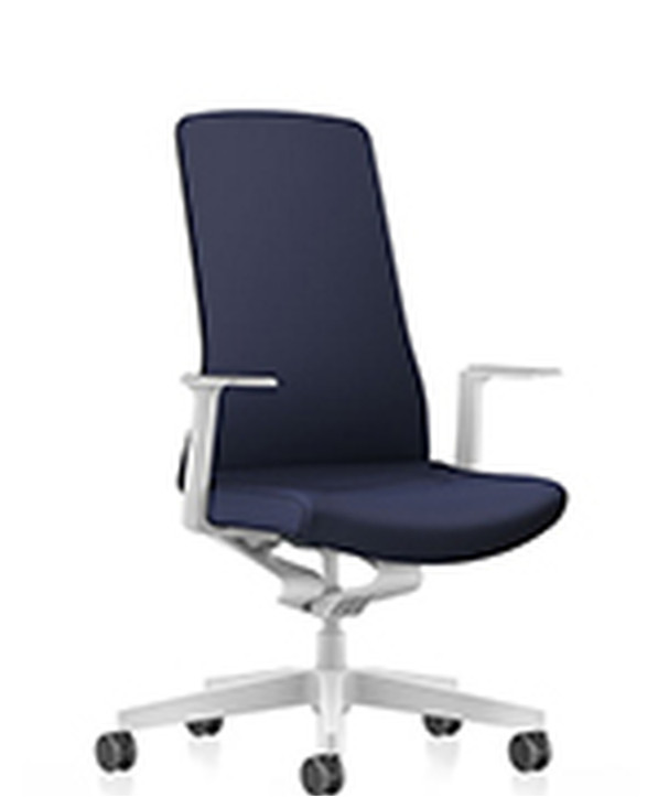Fauteuil Ergonomique Pureis3