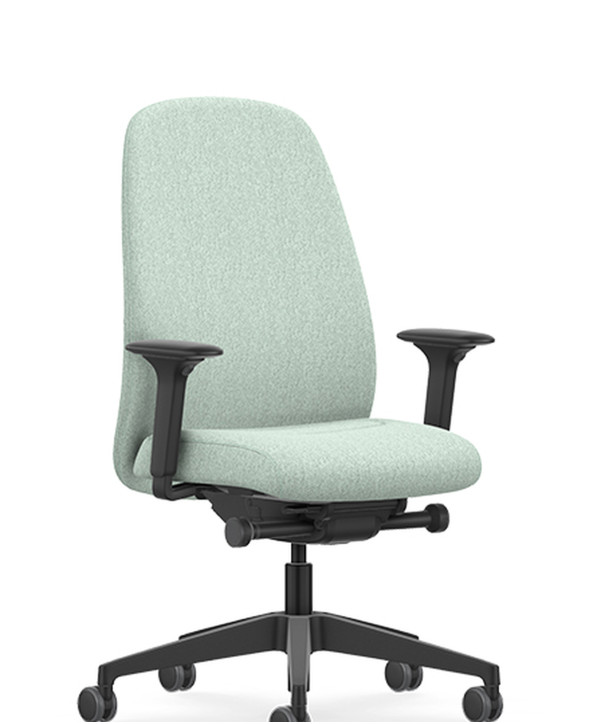 Fauteuil Ergonomique Hejis3