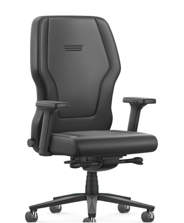 Fauteuil Ergonomique Xxlis5