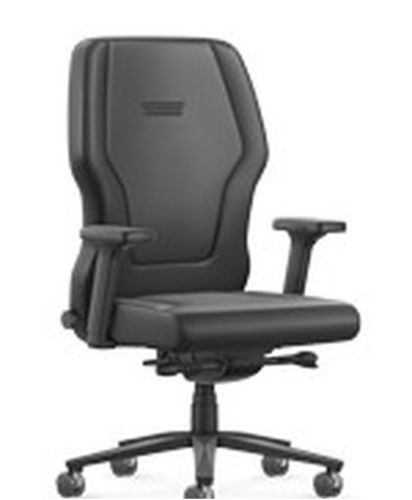 Fauteuil Ergonomique Xxlis5