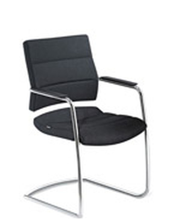 Fauteuil Ergonomique Champ