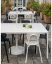 Table Tetra