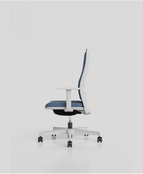 Fauteuil Ergonomique Cadeinor Tron