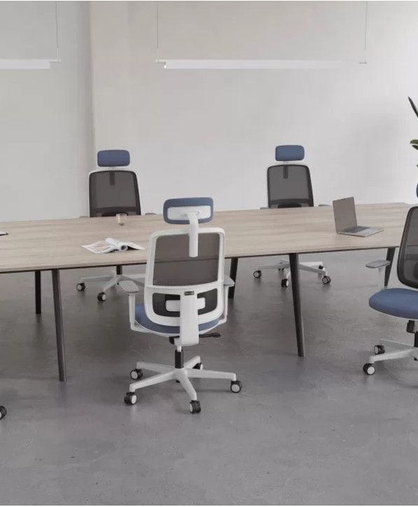 Fauteuil Ergonomique Cadeinor Toto