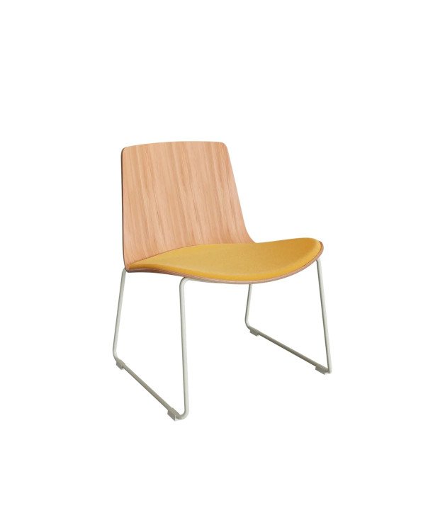 Assises Lottus