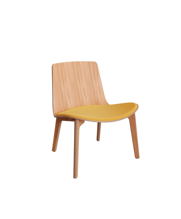 Assises Lottus