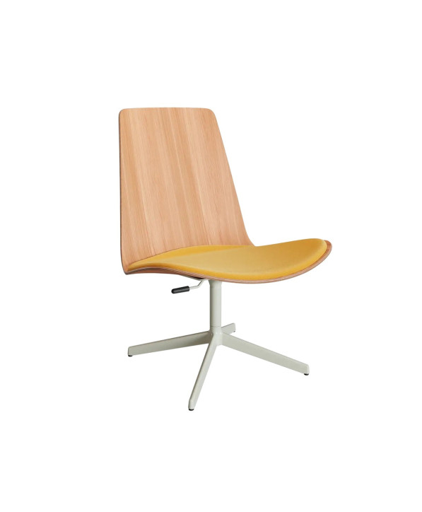 Assises Lottus