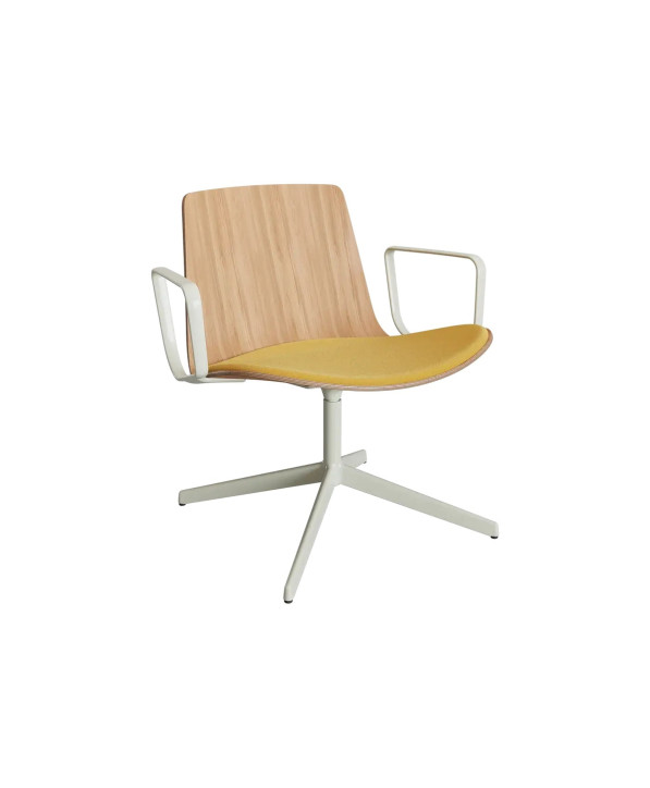 Assises Lottus