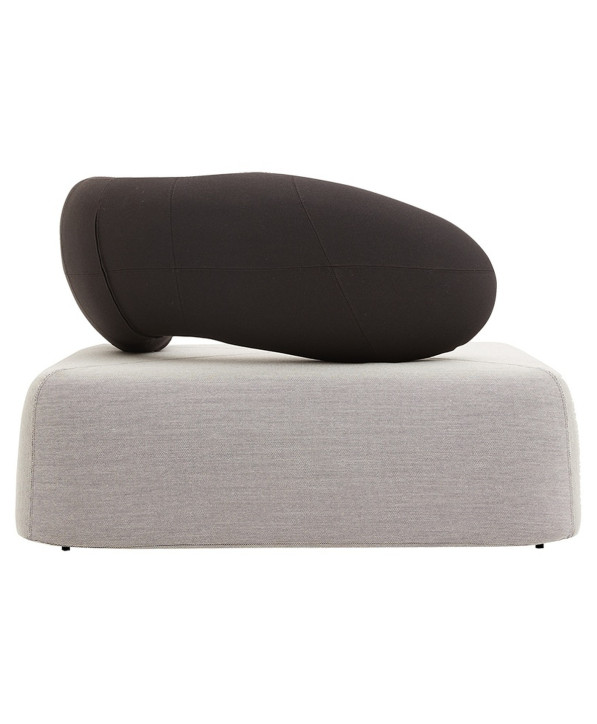 Chat Fauteuil