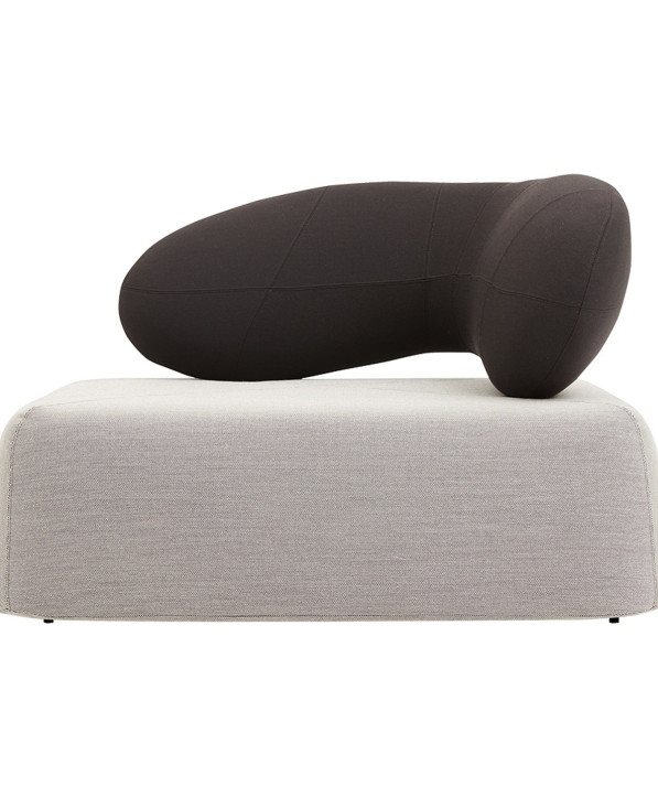 Chat Fauteuil