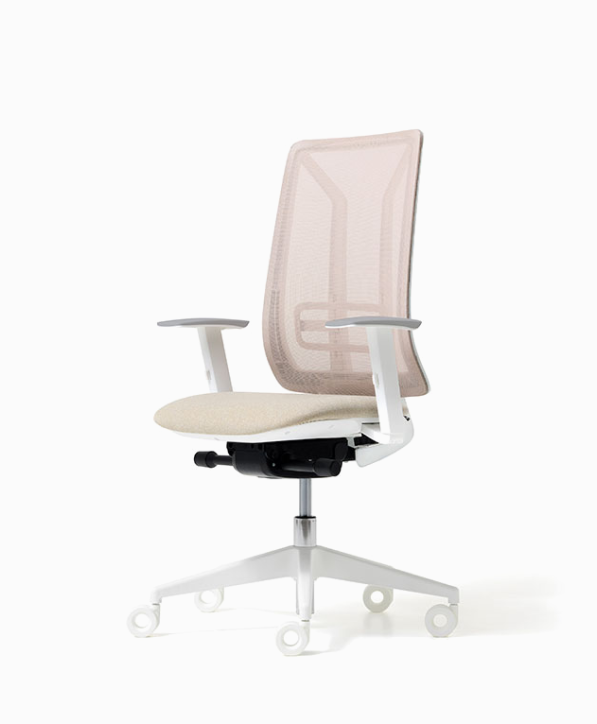 Siège de bureau ergonomique Ace Diemme